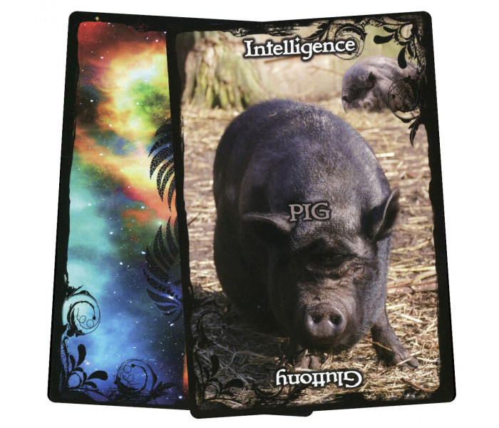 Оракул Керівництво По Тваринах - Animal Guidance & Aspects Oracle Cards. Solaris
