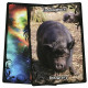 Оракул Керівництво По Тваринах - Animal Guidance & Aspects Oracle Cards. Solaris