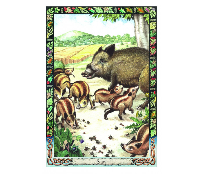 Оракул Тварин-друїдів - The Druid Animal Oracle. Orange Hippo