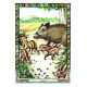 Оракул Тварин-друїдів - The Druid Animal Oracle. Orange Hippo