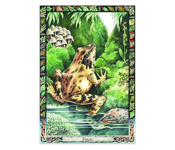 Оракул Тварин-друїдів - The Druid Animal Oracle. Orange Hippo