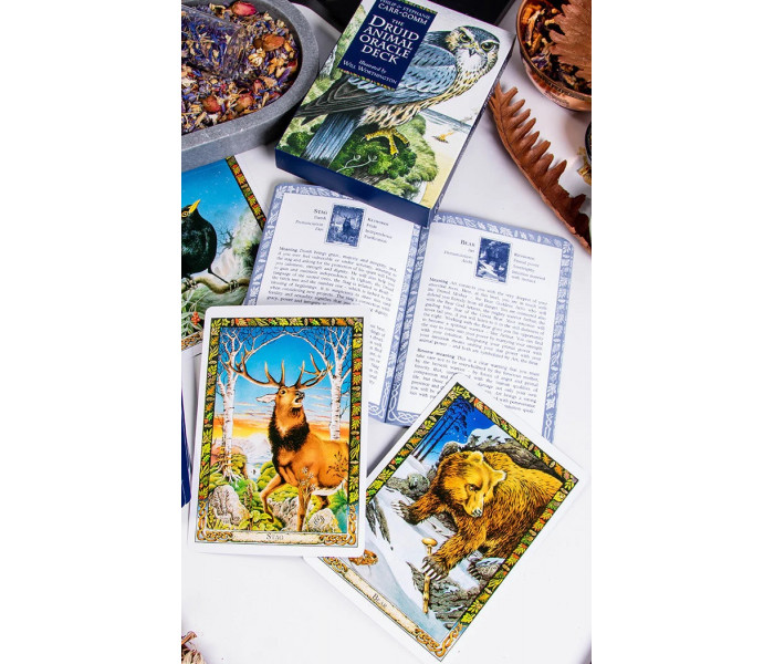 Оракул Тварин-друїдів - The Druid Animal Oracle. Orange Hippo