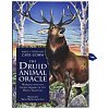 Фото 1 - Друидский Животный Оракул - Druid Animal Oracle Deck Book Set. Atria Books