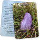 Оракул Кристалічні Зв’язки - Crystal Connections Message Cards. Animal Dreaming