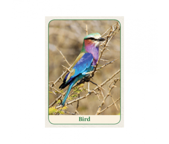 Оракул Мудрість Природи - Natures Wisdom Message Cards. Animal Dreaming