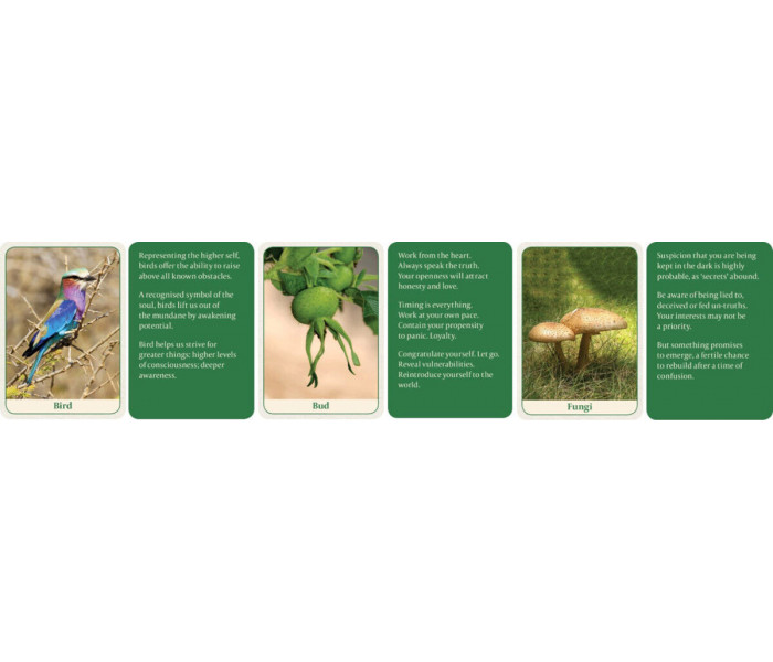 Оракул Мудрість Природи - Natures Wisdom Message Cards. Animal Dreaming