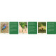 Оракул Мудрість Природи - Natures Wisdom Message Cards. Animal Dreaming