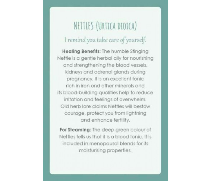 Цілющі Карти Жіноча Медицина - Womb Medicine Healing Cards. Animal Dreaming