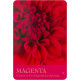 Таємна Мова Кольорових Карт - The Secret Language of Color Cards. Blue Angel