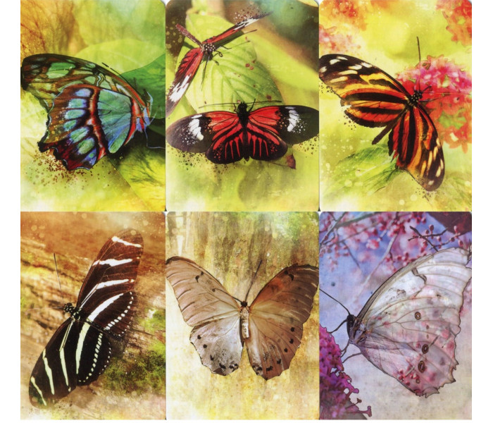 Афірмації метеликів - Butterfly Affirmations. Blue Angel