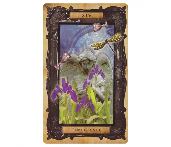 Вікторіанське Стимпанк-Таро - Victorian Steampunk Tarot. CICO Books
