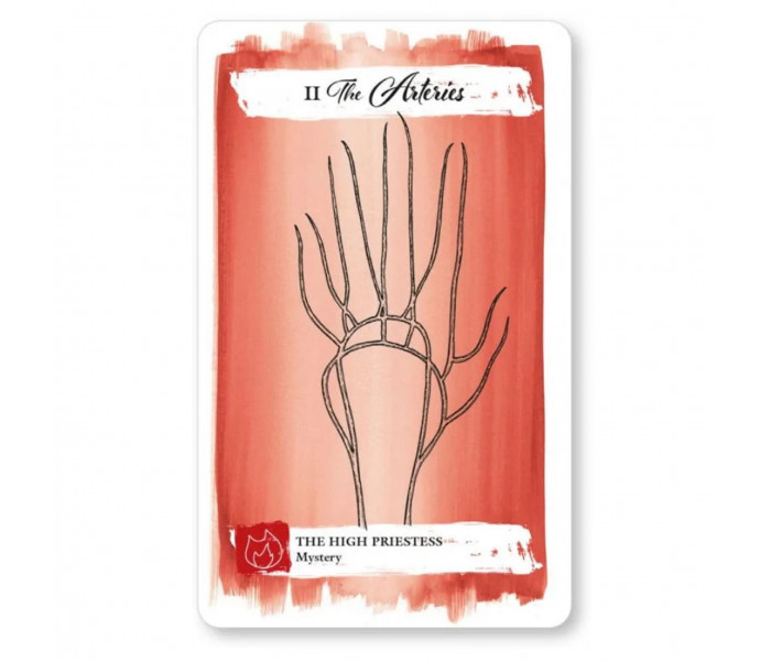 Тілесне Таро - The Body Tarot. CICO Books
