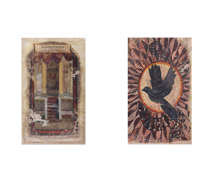 Оракул чорних голубів Африки - Oracle of the Black Doves of Africa. Destiny Books
