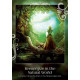 Оракул Помічник Душі - Soul Helper Oracle. Earthdancer Books