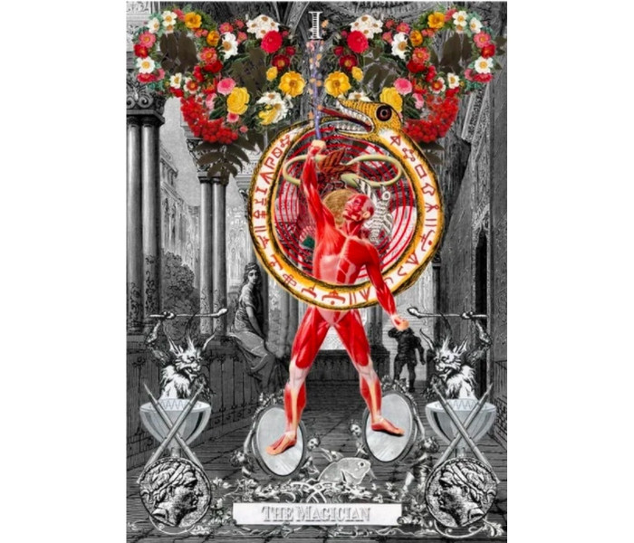 Таро Алхимических Видений - The Alchemical Visions Tarot. Weiser Books