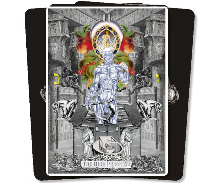 Таро Алхимических Видений - The Alchemical Visions Tarot. Weiser Books