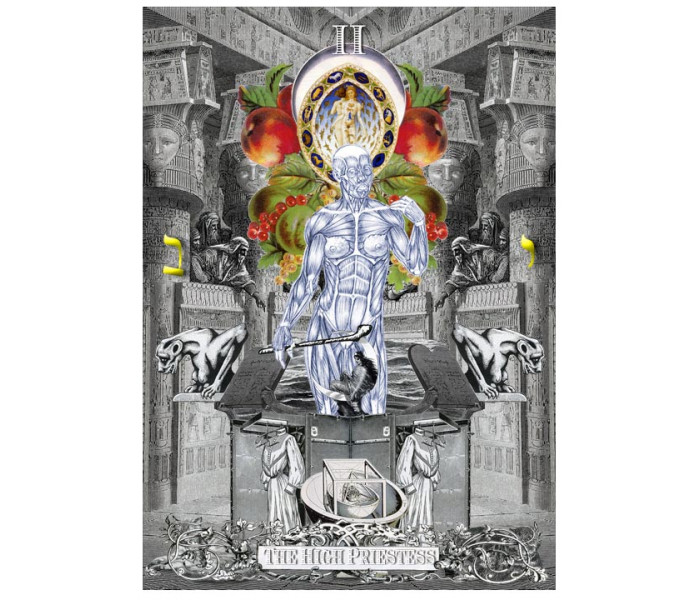 Таро Алхимических Видений - The Alchemical Visions Tarot. Weiser Books