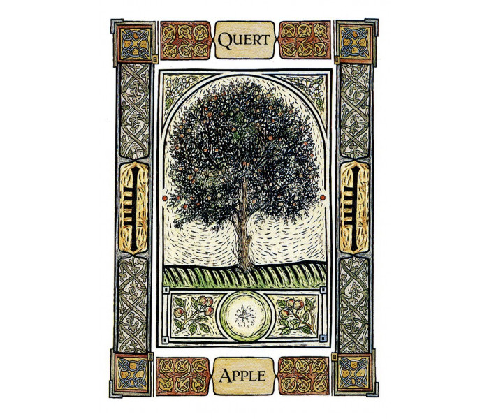 Кельтский Древесный Оракул - The Celtic Tree Oracle. Welbeck Publishing