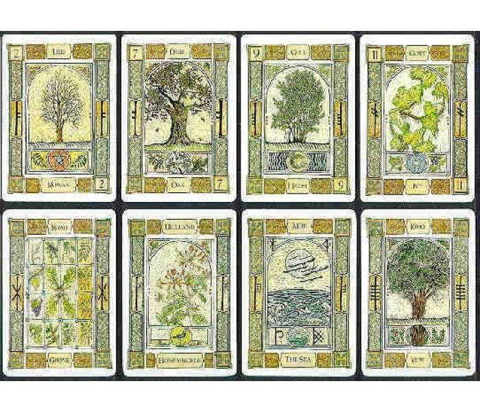 Кельтский Древесный Оракул - The Celtic Tree Oracle. Welbeck Publishing