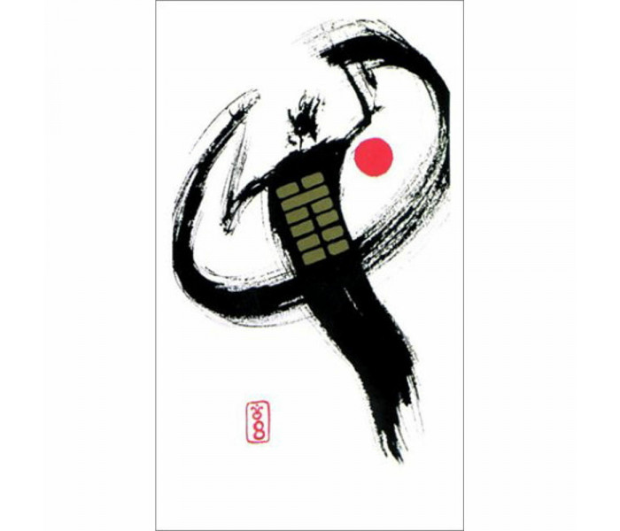 Духовные Гексаграммы И-Цзин - I Ching Holitzkn Deck. AGM