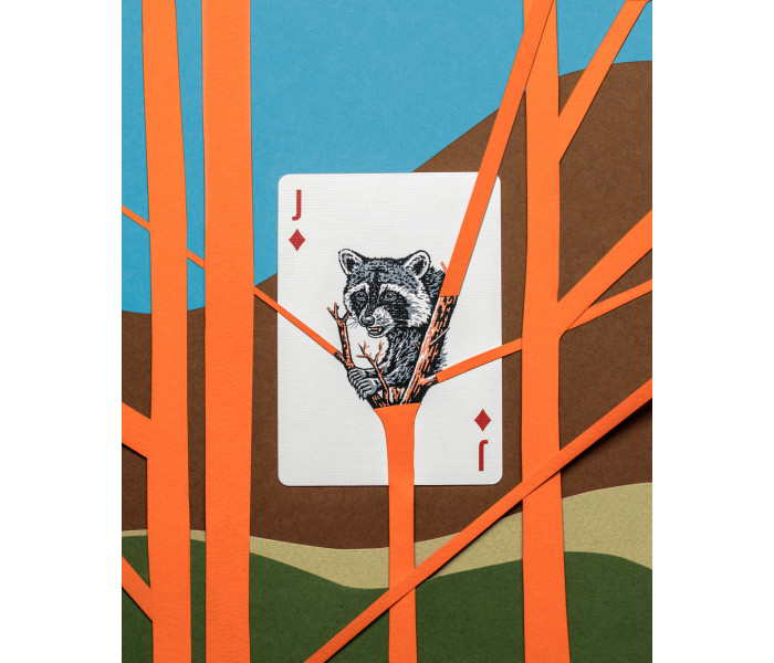 Карти Smokey Bear, Limited Brown Edition. Art of Play