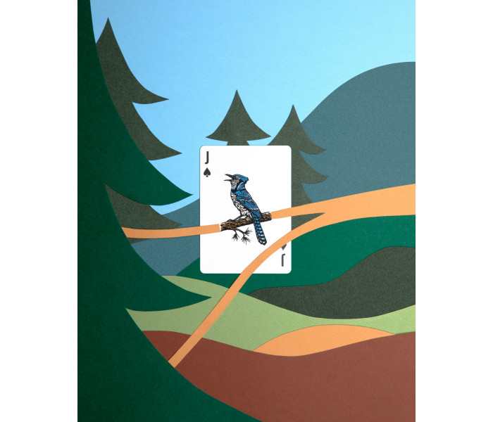 Карти Smokey Bear, Limited Brown Edition. Art of Play