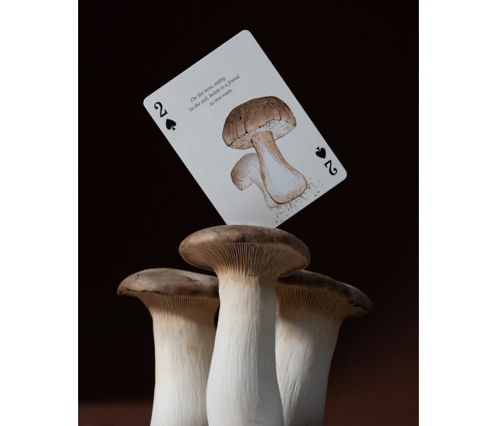 Карты Eastern Forest от Art of Play