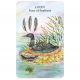 Таро Духовних Тварин - Spirit Animal Tarot. CICO Books