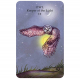 Таро Духовних Тварин - Spirit Animal Tarot. CICO Books