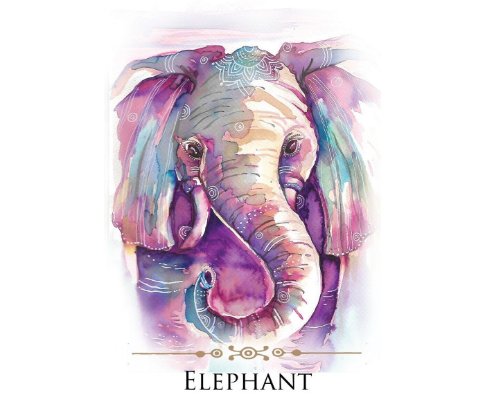 Послания Духовных Животных - Spirit Animals Message Cards. Animal Dreaming 