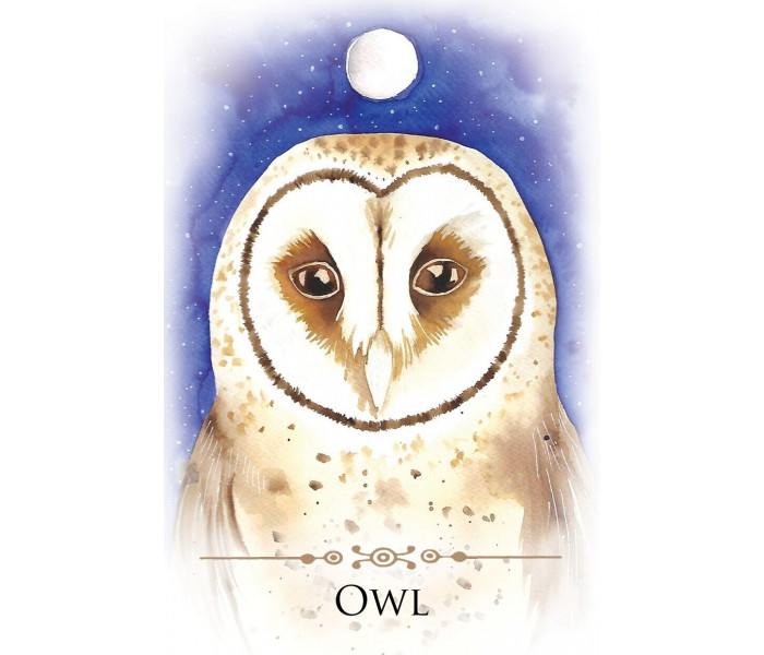 Послания Духовных Животных - Spirit Animals Message Cards. Animal Dreaming 