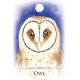 Послания Духовных Животных - Spirit Animals Message Cards. Animal Dreaming 