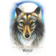 Послания Духовных Животных - Spirit Animals Message Cards. Animal Dreaming 