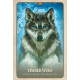 Оракул Секретный Язык Животных - The Secret Language of Animals Oracle. Blue Angel
