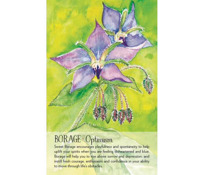 Оракул Духа Рослини - Soulflower Plant Spirit Oracle. Findhorn Press