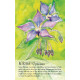 Оракул Духа Рослини - Soulflower Plant Spirit Oracle. Findhorn Press