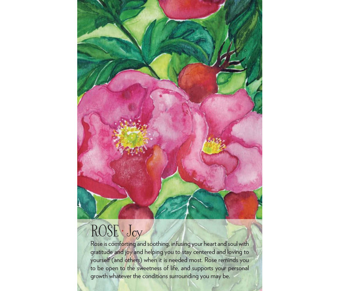 Оракул Духа Рослини - Soulflower Plant Spirit Oracle. Findhorn Press
