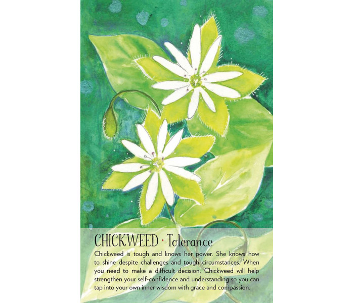 Оракул Духа Рослини - Soulflower Plant Spirit Oracle. Findhorn Press