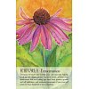 Фото 5 - Оракул Духа Растения - Soulflower Plant Spirit Oracle. Findhorn Press