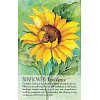 Фото 6 - Оракул Духа Растения - Soulflower Plant Spirit Oracle. Findhorn Press
