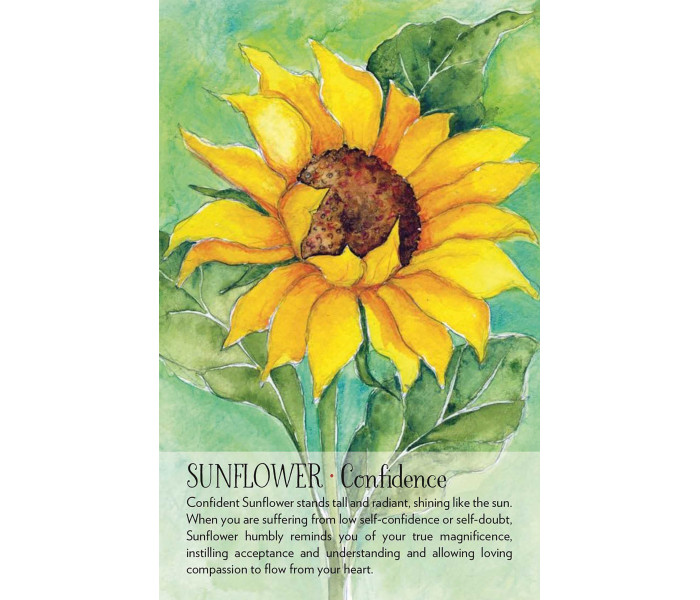 Оракул Духа Рослини - Soulflower Plant Spirit Oracle. Findhorn Press
