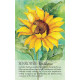 Оракул Духа Рослини - Soulflower Plant Spirit Oracle. Findhorn Press