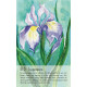Оракул Духа Рослини - Soulflower Plant Spirit Oracle. Findhorn Press
