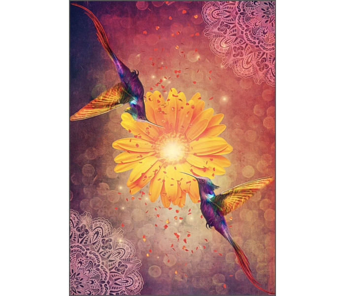 Оракул Мудрості Колібрі - Hummingbird Wisdom Oracle. Schiffer Publishing
