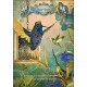Оракул Мудрості Колібрі - Hummingbird Wisdom Oracle. Schiffer Publishing