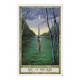 Таро Друидов - The Druidcraft Deck. St. Martins Press