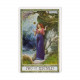 Таро Друидов - The Druidcraft Deck. St. Martins Press