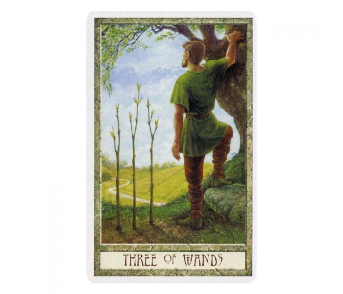 Таро Друидов - The Druidcraft Deck. St. Martins Press