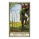Таро Друидов - The Druidcraft Deck. St. Martins Press