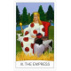 Таро Единого Мира - The One World Tarot. St. Martins Press